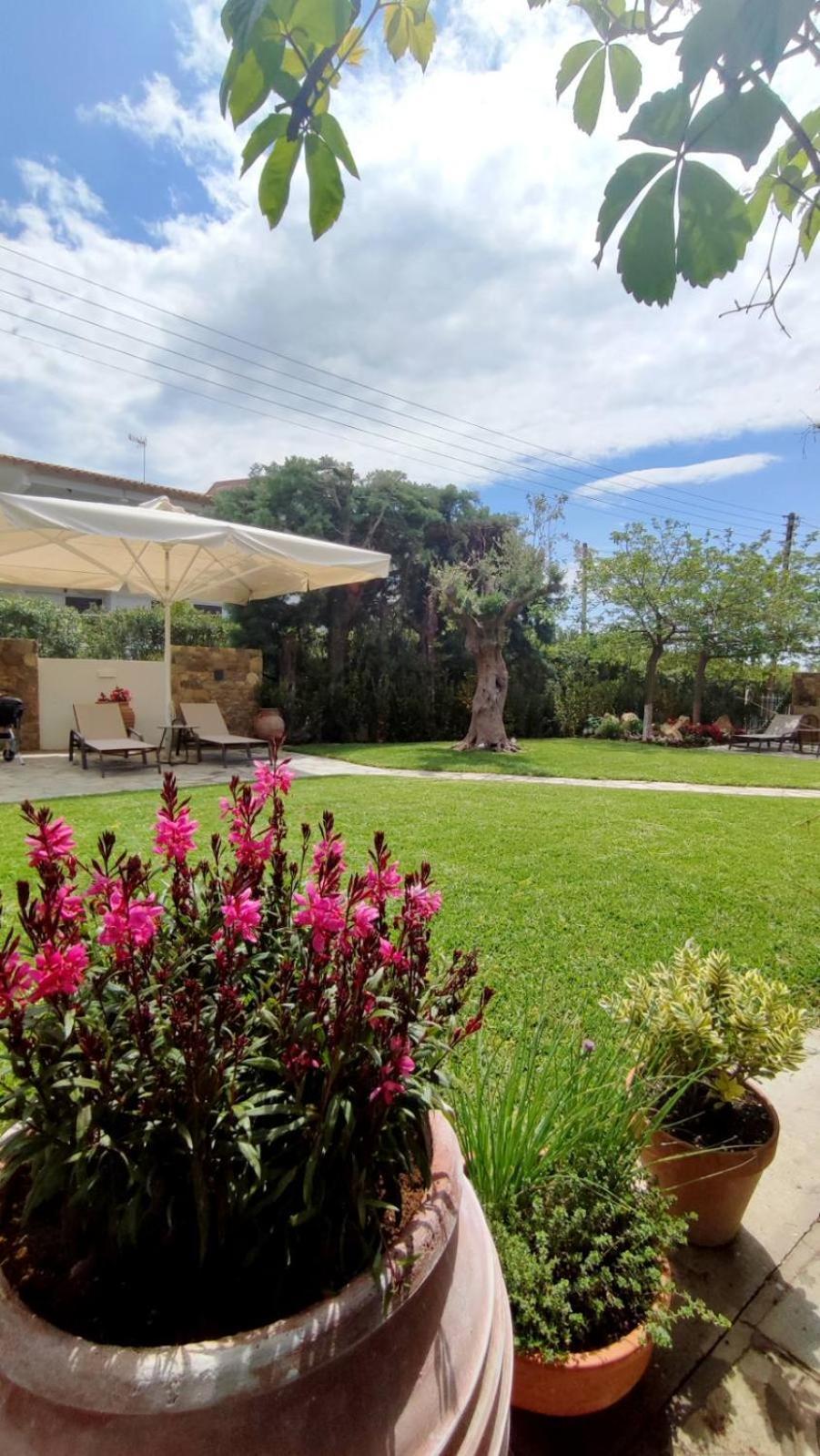Coel Luxury Suites By Rentalspro Services - Potidea Halkidiki Nea Poteidaia Ngoại thất bức ảnh
